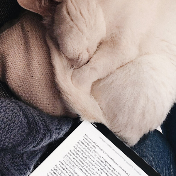 Curled up with a cat and a good book